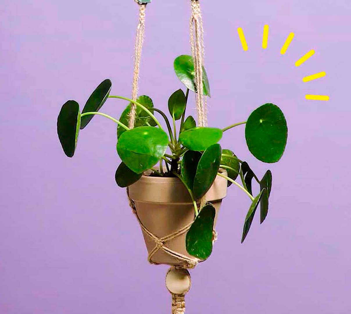 DIY: Så let kan du lave dit eget planteophæng | Nørrebro Bycenter